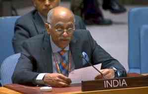 India shows mirror to Pak at UNSC meet on despicable condition of minority women