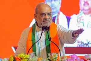 Only BJP can stop 'state-sponsored' infiltration, crime against women in Bengal: HM Amit Shah