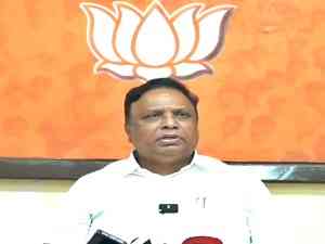 BJP will not campaign for NCP's Nawab Malik, says Ashish Shelar