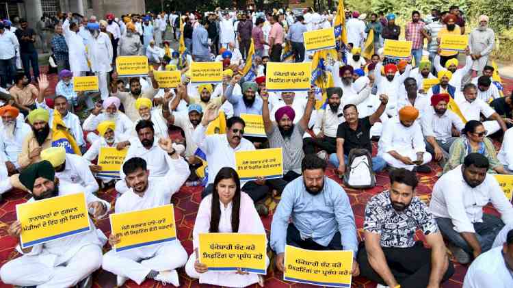 AAP leaders hold a major protest in Chandigarh against Central Government over issue of paddy procurement and lifting