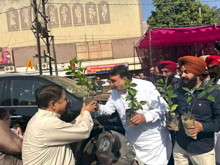 MLA Prashar distributes saplings among residents, urges them to celebrate 'Green Diwali' 