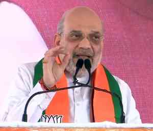 Shah accuses MVA of playing appeasement politics