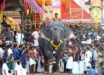 'Justice for jumbos': Kerala HC comes to the aid of elephants, issues strict guidelines