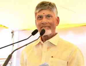 YSRCP govt's blunders, debts became a curse for Andhra Pradesh: Chandrababu Naidu 