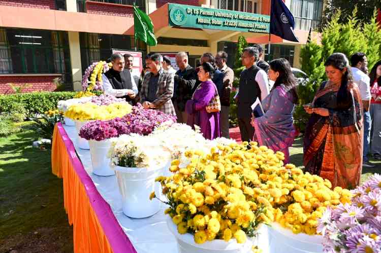 Riots of Colours at Nauni Varsity’s Chrysanthemum Day