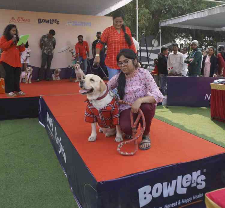 Hycan 24, a grand pet show of dogs and cats held