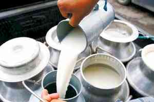 India's milk production rises 4 pc to cross 239 million tonnes in 2023-24