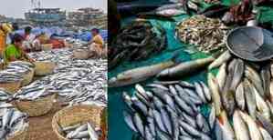 Centre okays Rs 4,969 crore package for fisheries sector