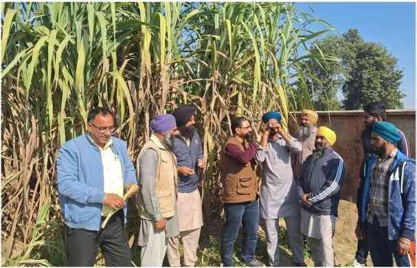 PAU-KVK HOSHIARPUR CONDUCTS VOCATIONAL TRAINING ON QUALITY GUR/SHAKKAR PRODUCTION