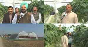 Polyhouse farming transforms farmers' lives in J&K's Samba