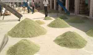 FDI in India's food processing sector reaches $368 million in April-Sep