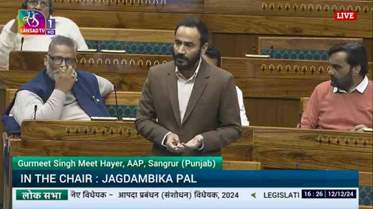 AAP MP Meet Hayer Raises Issue of Road Accident Deaths in Lok Sabha