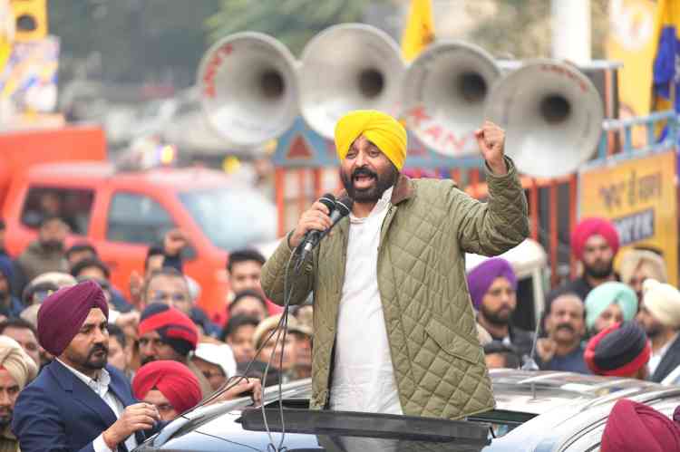 On December 21, rise above caste and religion, vote for your children's future and the development of your city - Bhagwant Mann