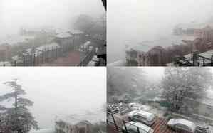 Shimla sees mild snow, bringing cheer with promise of White Christmas