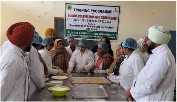 PAU Regional Research Station Bathinda organises training on quinoa cultivation and processing