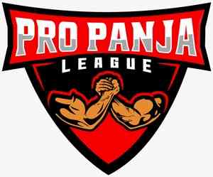 Yuvraj Verma crowned Champion of Champions at Pro Panja League 