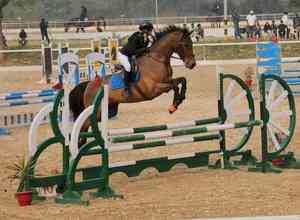 Equestrian: Inaara, Freya, Hussain win gold in team events at National Championships