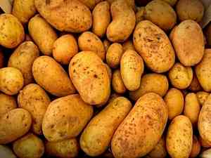 Himachal plans to set up potato processing plant bordering Punjab: CM Sukhu