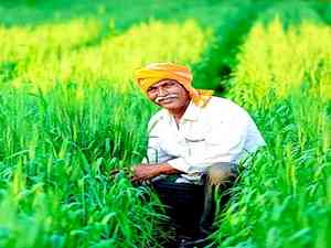 Cabinet approves extension of Rs 69,515.71cr worth crop insurance schemes for farmers