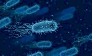 Israeli researchers discover virus defence system in marine bacteria