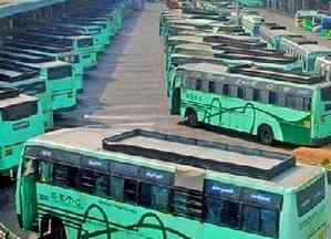 TN transport dept to operate 5,736 special buses from Chennai for Pongal festival