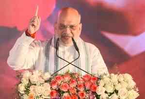 Maha voters buried politics of betrayal played by Sharad Pawar and Uddhav Thackeray: Amit Shah