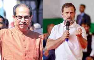 Congress should not undermine regional parties: Uddhav Thackeray's Shiv Sena