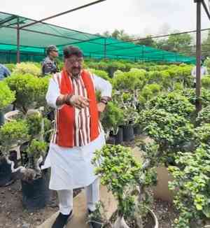 All saplings planted under 'Ek Ped Maa Ke Naam' in Indore alive: Kailash Vijayvargiya