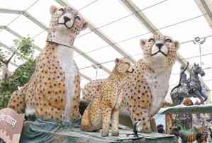 MP: Tableau for Republic Day to showcase success of Cheetah project