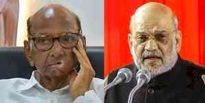 No one has done as much work as Sharad Pawar: NCP(SP) on Amit Shah’s criticism