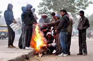 Parts of Rajasthan experience intense cold, Fatehpur records 0.5 degrees