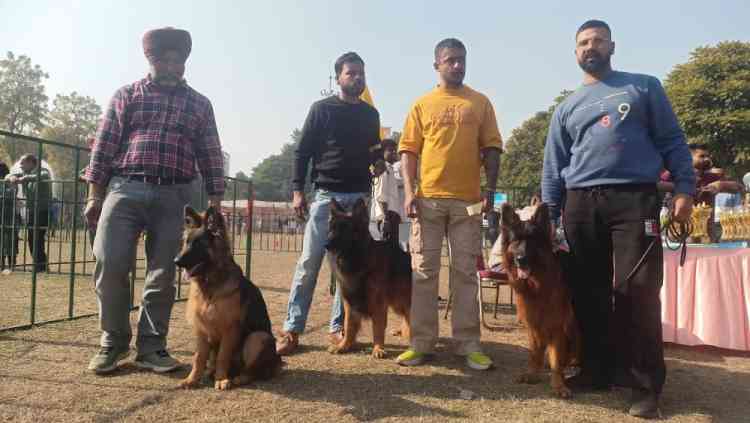 Science City’s Annual Dog Show Highlights the Unique Bond Between Humans and Dogs