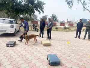 K9 helps sniff out narcotics in Haryana