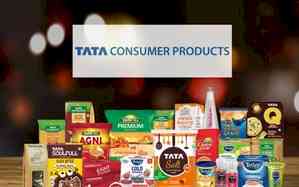 Tata Consumer Q3 profit falls 5 pc to Rs 299.75 crore, revenue rises 16.8 pc