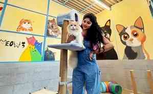 Actress Samyuktha Honrad launches adoption centre for cats