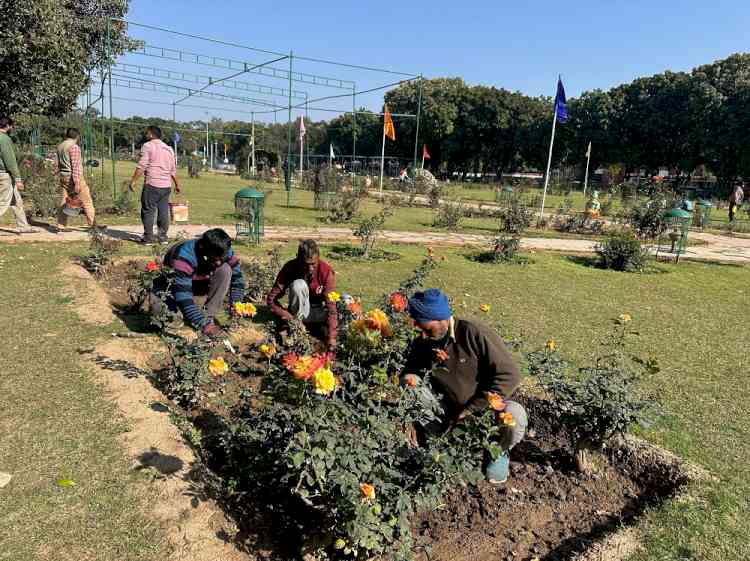 Panjab University all set to host 14th Panjab University Rose Festival 