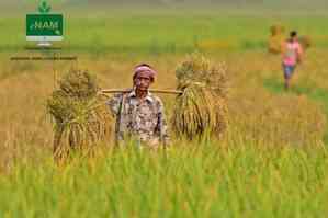 Centre lists 10 more agricultural goods for e-NAM trade to help farmers get higher prices