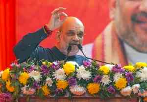 'Example of what happens for worshipping own family': HM Shah's dig at Cong over Delhi poll results