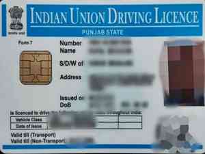 Re-start issuance of driving licences in Punjab, pleads National Road Safety Council member