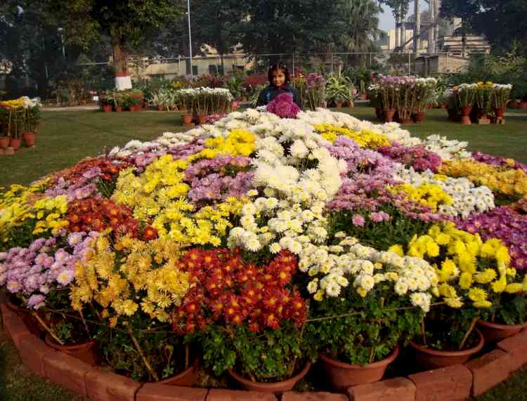 Flower Show at Science City on Feb 14