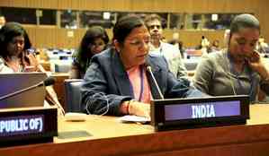 India promoting digital, financial literacy among women entrepreneurs in rural areas: Govt at UN