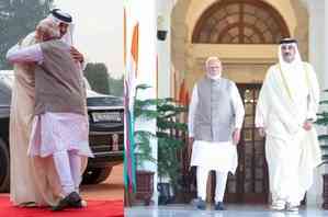 Want to increase and diversify India-Qatar trade linkages, says PM Modi after 'productive' talks with 'brother' Sheikh Al Thani