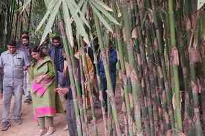 Maha likely to sign MoU with Tripura to boost bamboo industry, entrepreneurial activities: Minister