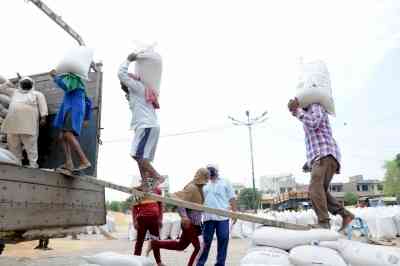 Resolve wheat supply crisis, Punjab's roller flour millers urge Centre