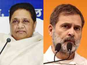 FairPoint: Rahul Gandhi's Mayawati critique a calculated strategy for UP chessboard    