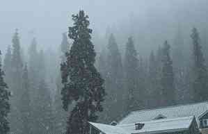 Snowfall in Kashmir higher reaches as rain lashes J&K