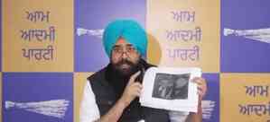 Punjab AAP MP accuses Congress of trying to halt anti-drug campaign 