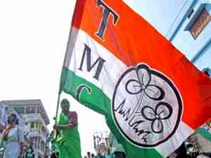 Trinamool Congress to begin door-to-door survey to identify fake voters