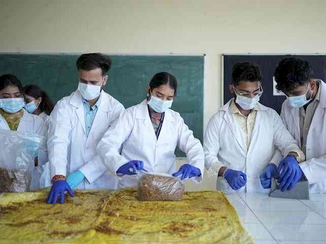 CT Institute of Pharmaceutical Sciences Pioneers Oyster Mushroom Cultivation for Medicinal and Nutritional Use